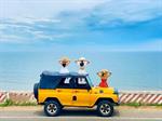 Tour Mũi Né: Bikini Beach - Jeeptour - Bàu Trắng - Lâu đài rượu vang